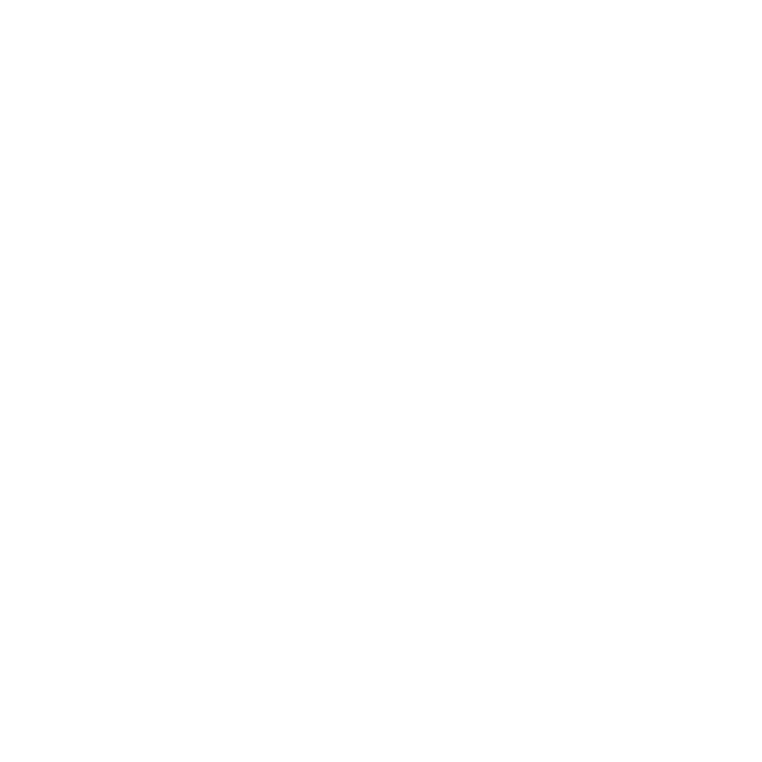 BZUB Solutions